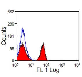 Flow Cytometry - Anti-CD4 Antibody [CVS4] (FITC) (A280176) - Antibodies.com