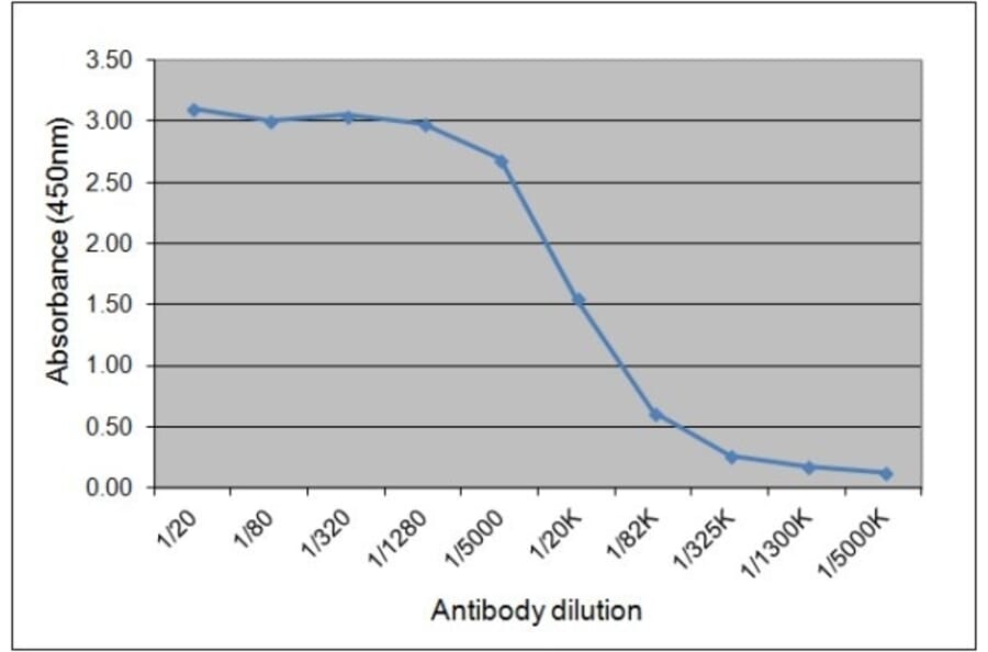 ELISA - Anti-Horse IgGa Antibody [CVS48] (A280179) - Antibodies.com