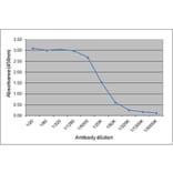 ELISA - Anti-Horse IgGa Antibody [CVS48] (A280179) - Antibodies.com