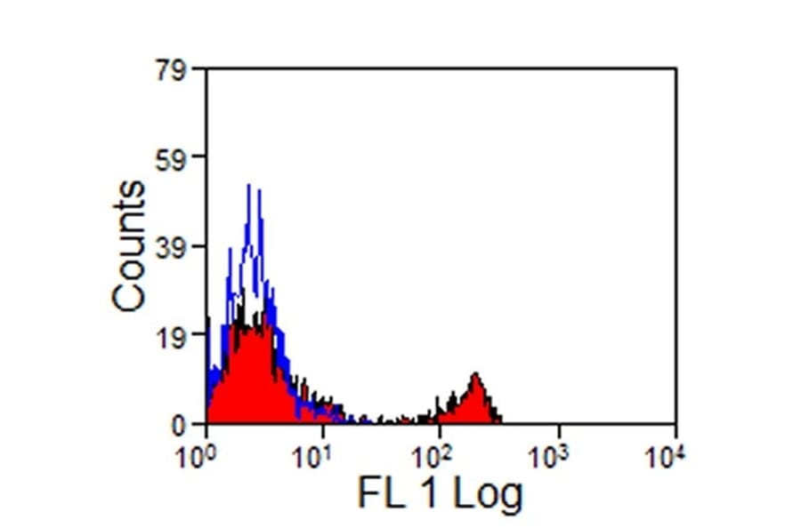 Flow Cytometry - Anti-CD8 Antibody [CVS8] (FITC) (A280183) - Antibodies.com