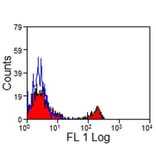 Flow Cytometry - Anti-CD8 Antibody [CVS8] (FITC) (A280183) - Antibodies.com