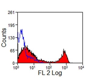 Flow Cytometry - Anti-CD8 Antibody [CVS8] (PE) (A280184) - Antibodies.com