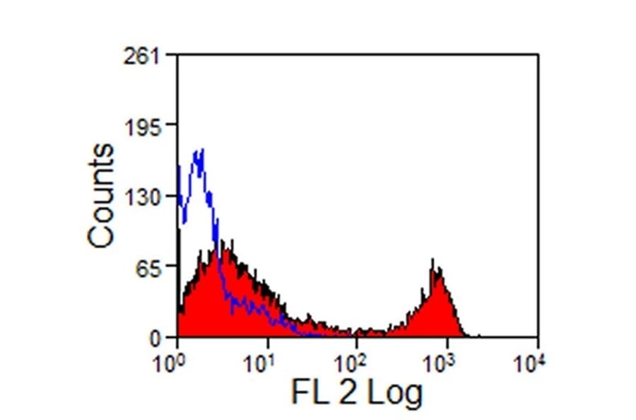 Flow Cytometry - Anti-CD8 Antibody [CVS8] (PE) (A280184) - Antibodies.com
