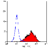 Flow Cytometry - Anti-Fibroblasts/Epithelial Cells Antibody [D7-FIB] (A280222) - Antibodies.com