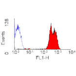 Flow Cytometry - Anti-CD43 Antibody [DFT-1] (FITC) (A280248) - Antibodies.com