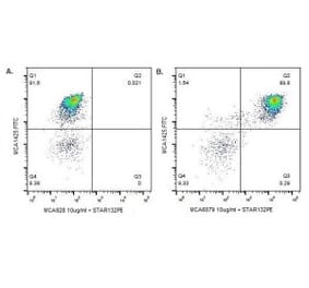 Flow Cytometry - Anti-SIRP alpha Antibody [DH59B] (A280253) - Antibodies.com