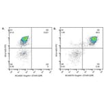Flow Cytometry - Anti-SIRP alpha Antibody [DH59B] (A280253) - Antibodies.com