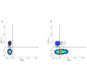 Flow Cytometry - Anti-CD226 Antibody [DX11] (PE) (A280275) - Antibodies.com