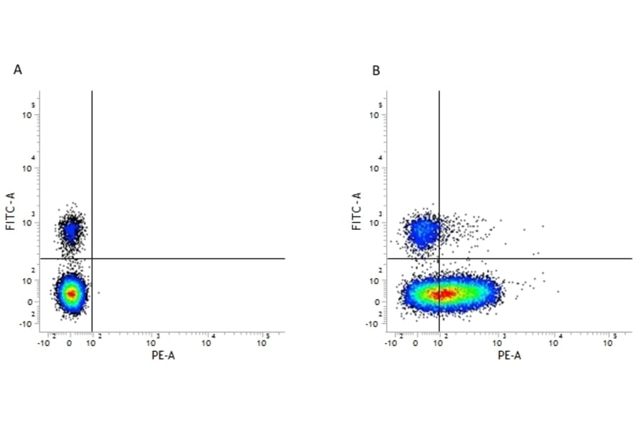 Flow Cytometry - Anti-CD226 Antibody [DX11] (PE) (A280275) - Antibodies.com