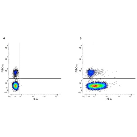 Flow Cytometry - Anti-CD226 Antibody [DX11] (PE) (A280275) - Antibodies.com