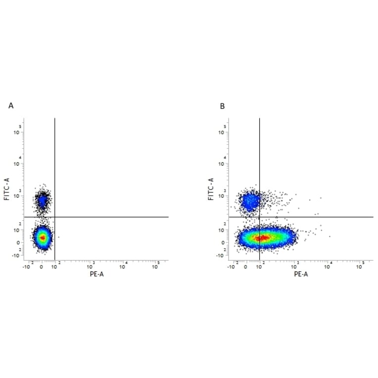 Flow Cytometry - Anti-CD226 Antibody [DX11] (PE) (A280275) - Antibodies.com