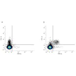 Flow Cytometry - Anti-Integrin alpha 2 Antibody [DX5] (FITC) (A280281) - Antibodies.com