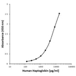 ELISA - Anti-Haptoglobin Antibody [E07-10E9] (A280291) - Antibodies.com