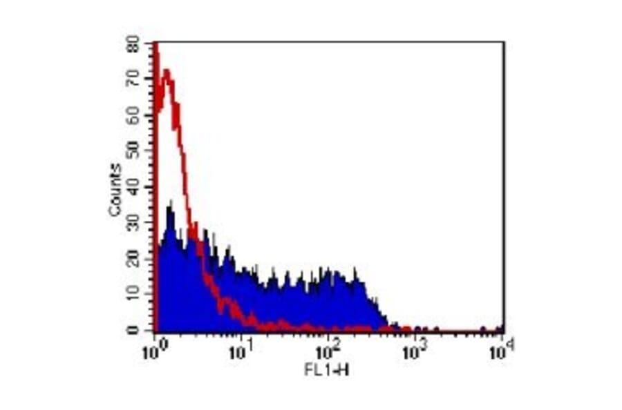 Flow Cytometry - Anti-M13 Bacteriophage Antibody [E1] (A280295) - Antibodies.com