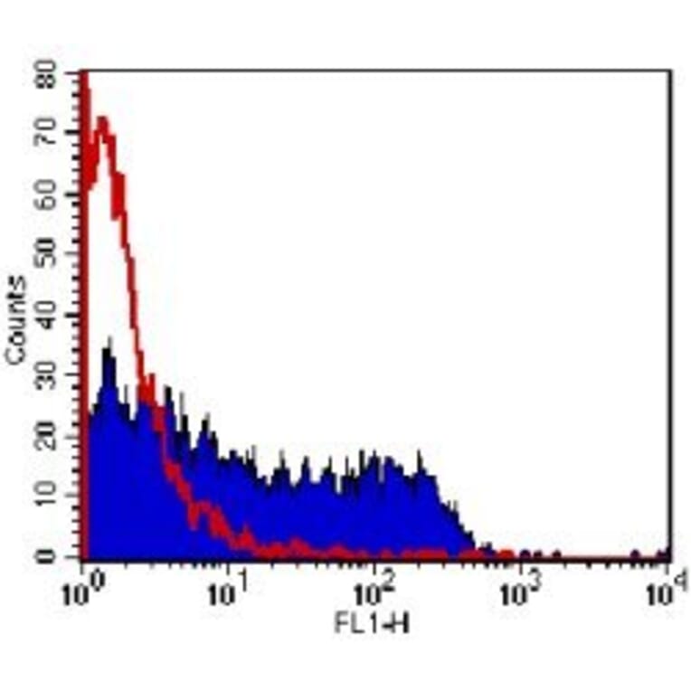 Flow Cytometry - Anti-M13 Bacteriophage Antibody [E1] (A280295) - Antibodies.com