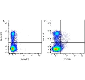 Flow Cytometry - Anti-CD11b Antibody [ED8] (FITC) (A280336) - Antibodies.com