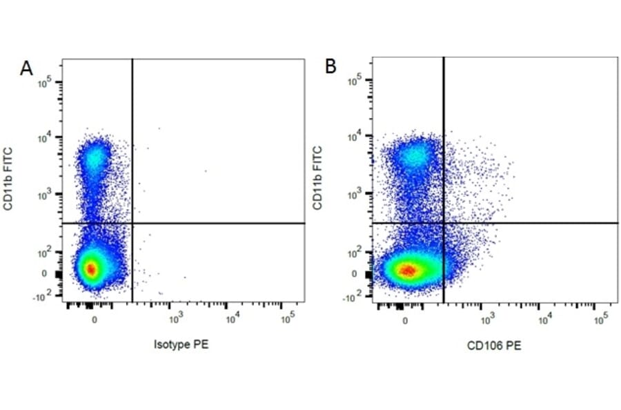 Flow Cytometry - Anti-CD11b Antibody [ED8] (FITC) (A280336) - Antibodies.com