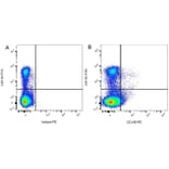 Flow Cytometry - Anti-CD11b Antibody [ED8] (FITC) (A280336) - Antibodies.com