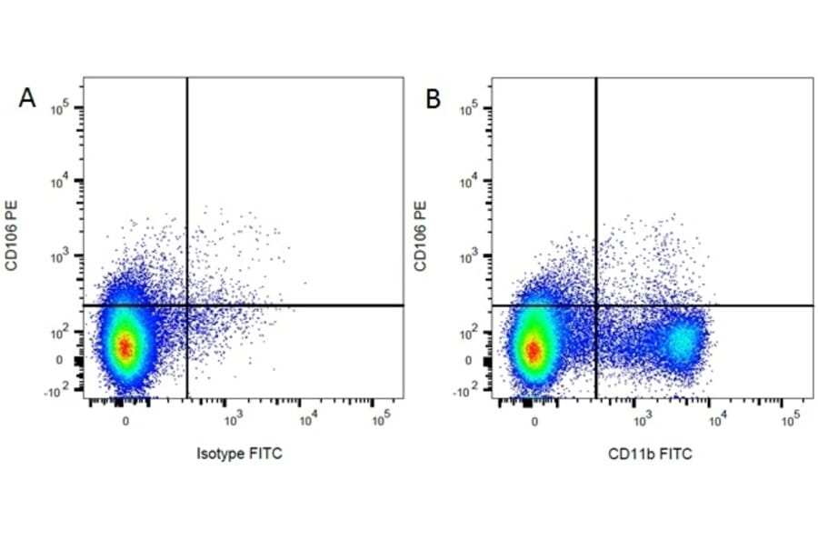 Flow Cytometry - Anti-CD11b Antibody [ED8] (FITC) (A280336) - Antibodies.com