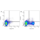 Flow Cytometry - Anti-CD11b Antibody [ED8] (FITC) (A280336) - Antibodies.com