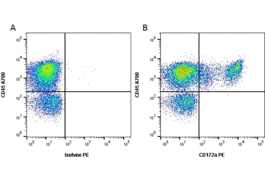 Flow Cytometry - Anti-SIRP alpha Antibody [ED9] (PE) (A280340) - Antibodies.com