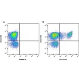 Flow Cytometry - Anti-SIRP alpha Antibody [ED9] (PE) (A280340) - Antibodies.com