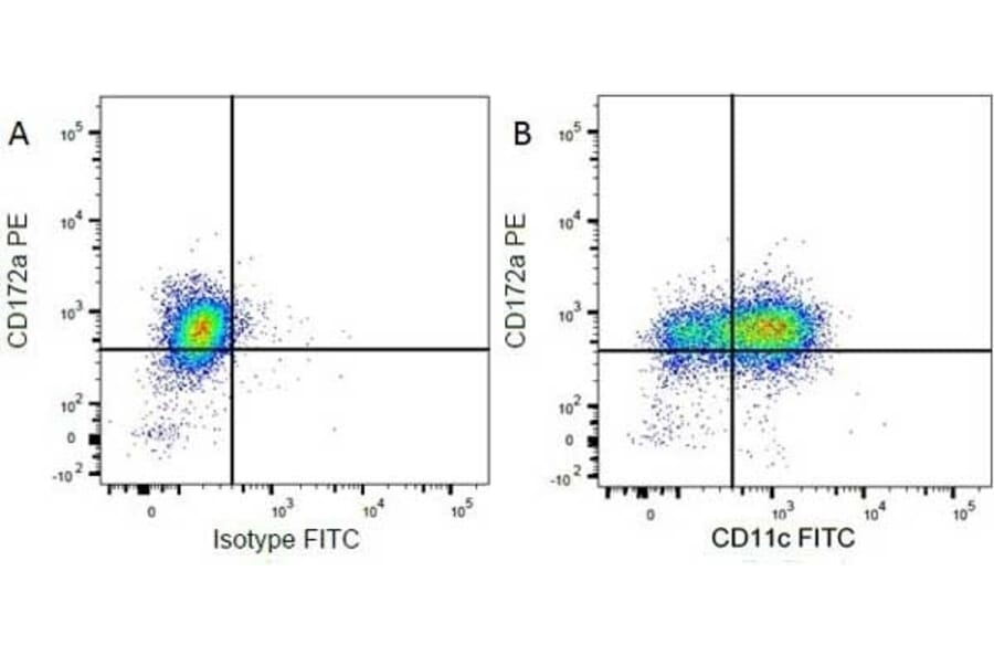Flow Cytometry - Anti-SIRP alpha Antibody [ED9] (PE) (A280340) - Antibodies.com