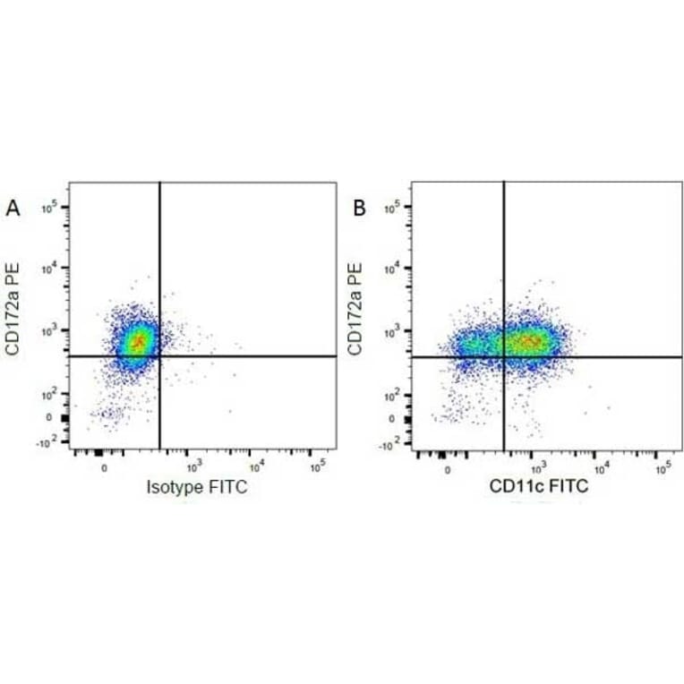 Flow Cytometry - Anti-SIRP alpha Antibody [ED9] (PE) (A280340) - Antibodies.com