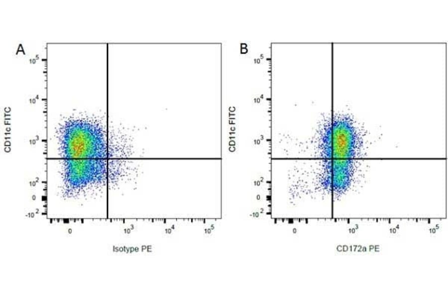 Flow Cytometry - Anti-SIRP alpha Antibody [ED9] (PE) (A280340) - Antibodies.com
