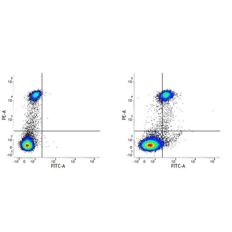 Flow Cytometry - Anti-CD163 Antibody [EDHu-1] (FITC) (A280342) - Antibodies.com