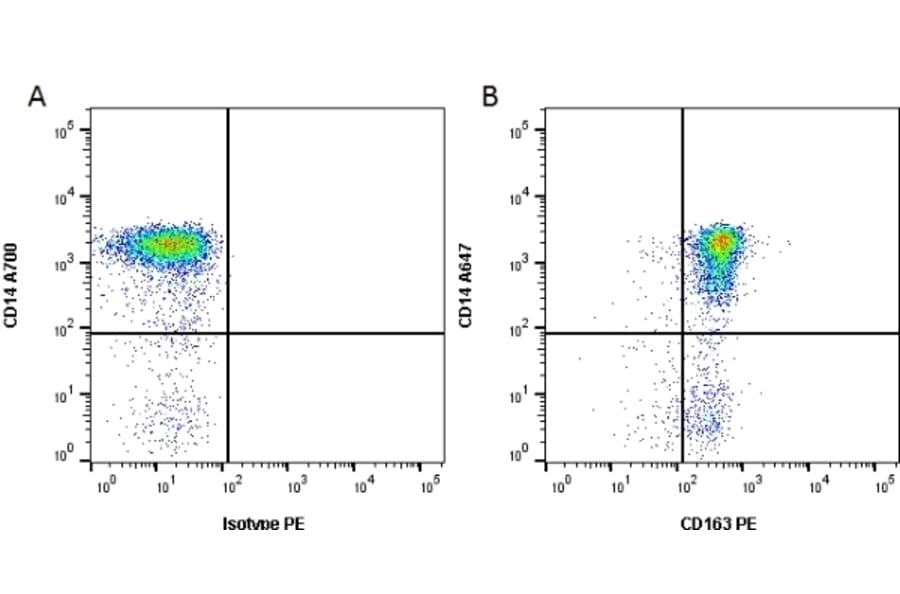 Flow Cytometry - Anti-CD163 Antibody [EDHu-1] (PE) (A280343) - Antibodies.com