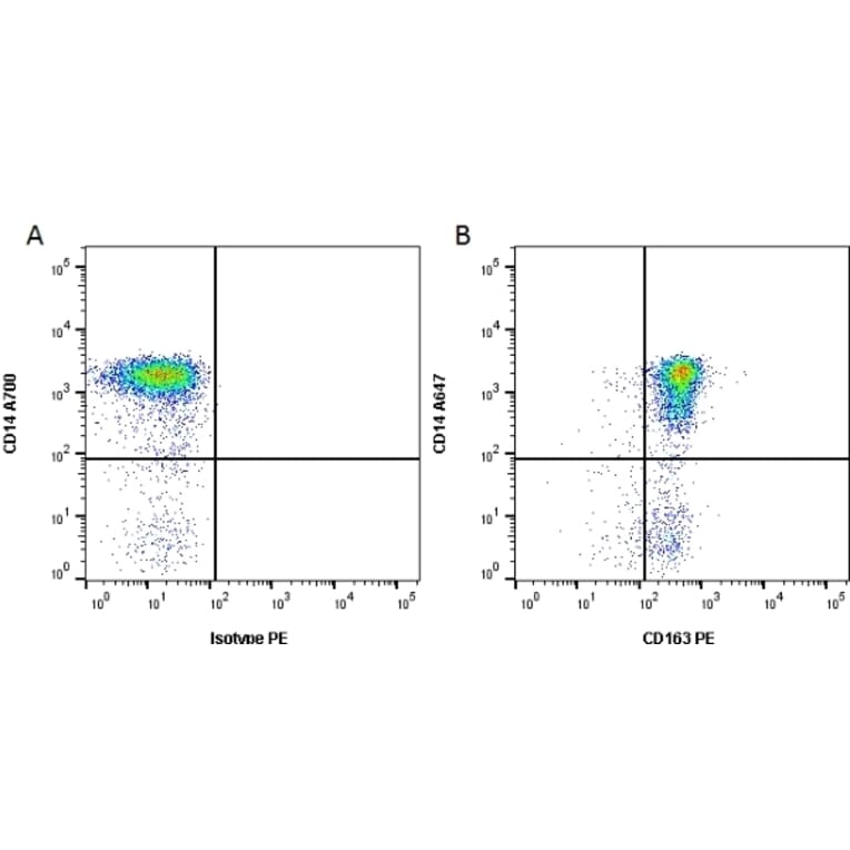 Flow Cytometry - Anti-CD163 Antibody [EDHu-1] (PE) (A280343) - Antibodies.com