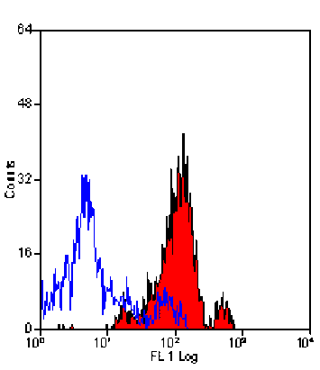 Flow Cytometry - Anti-CD13 Antibody [ER-BMDM1] (A280354) - Antibodies.com