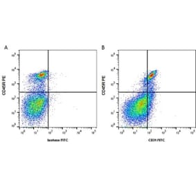 Flow Cytometry - Anti-CD31 Antibody [ER-MP12] (FITC) (A280364) - Antibodies.com