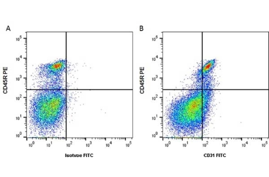 Flow Cytometry - Anti-CD31 Antibody [ER-MP12] (FITC) (A280364) - Antibodies.com