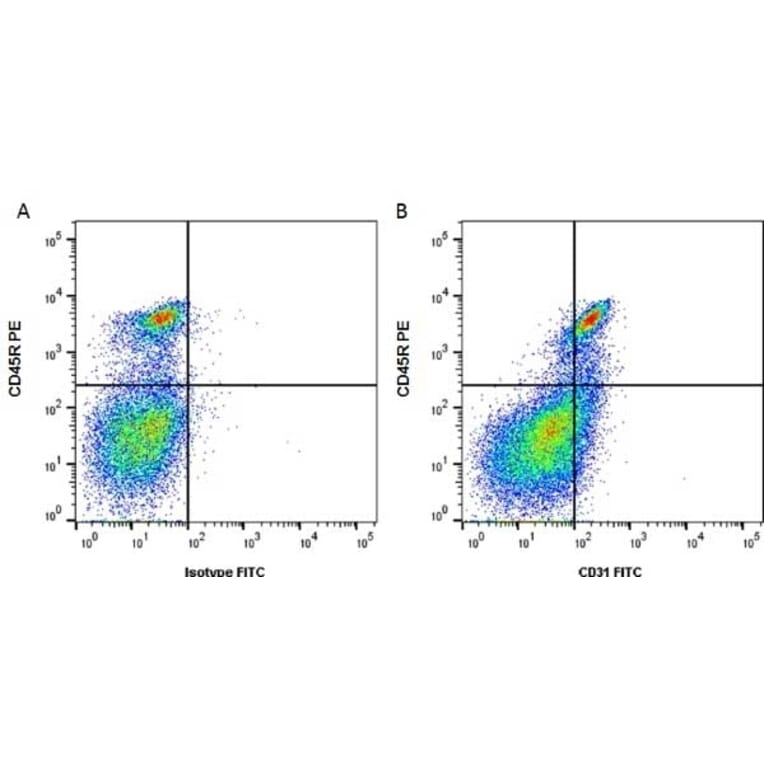 Flow Cytometry - Anti-CD31 Antibody [ER-MP12] (FITC) (A280364) - Antibodies.com