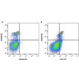 Flow Cytometry - Anti-CD31 Antibody [ER-MP12] (FITC) (A280364) - Antibodies.com
