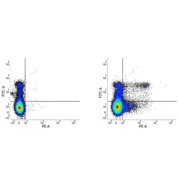 Flow Cytometry - Anti-Ly6c Antibody [ER-MP20] (PE) (A280371) - Antibodies.com