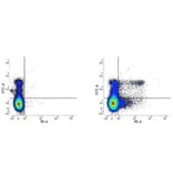 Flow Cytometry - Anti-Ly6c Antibody [ER-MP20] (PE) (A280371) - Antibodies.com