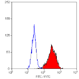 Flow Cytometry - Anti-CD90 / Thy1 Antibody [F15-42-1] (FITC) (A280417) - Antibodies.com