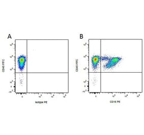 Flow Cytometry - Anti-CD16 Antibody [G7] (PE) (A280499) - Antibodies.com