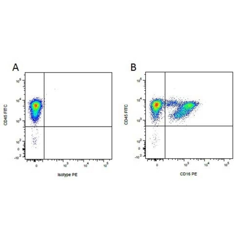 Flow Cytometry - Anti-CD16 Antibody [G7] (PE) (A280499) - Antibodies.com