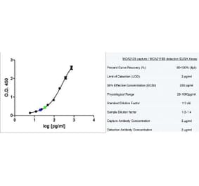 ELISA - Anti-Granzyme B Antibody [GB11] (A280504) - Antibodies.com