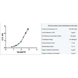 ELISA - Anti-Granzyme B Antibody [GB11] (A280504) - Antibodies.com
