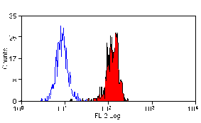 Flow Cytometry - Anti-Dectin-1 Antibody [GE2] (PE) (A280509) - Antibodies.com