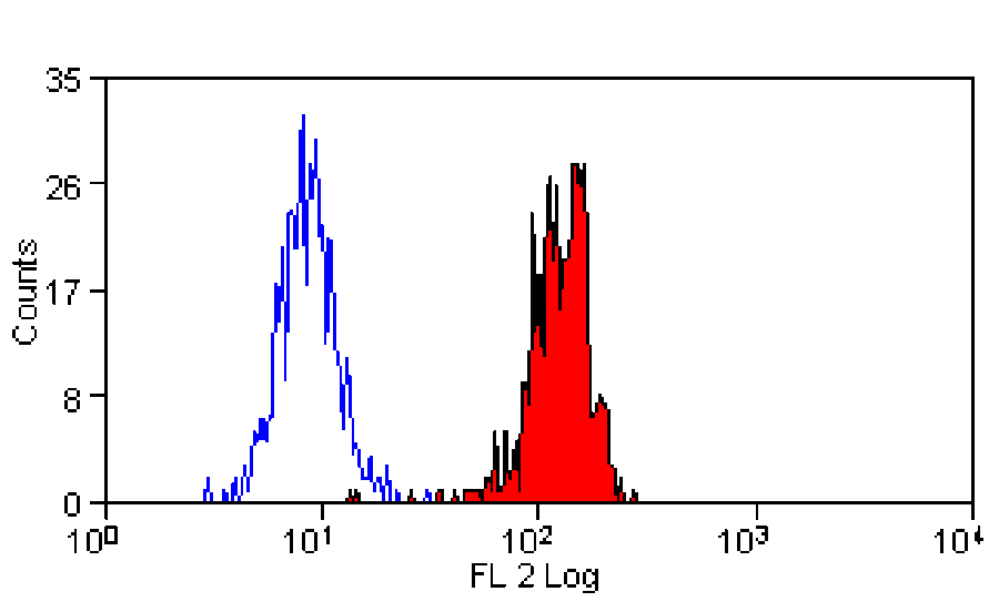 Flow Cytometry - Anti-Dectin-1 Antibody [GE2] (PE) (A280509) - Antibodies.com