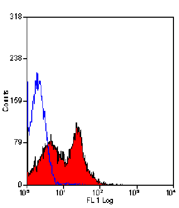 Flow Cytometry - Anti-DPP4 Antibody [H207-1082] (Biotin) (A280544) - Antibodies.com