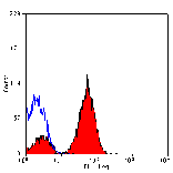 Flow Cytometry - Anti-Integrin beta 3 Antibody [HM beta 3.1] (FITC) (A280610) - Antibodies.com