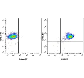 Flow Cytometry - Anti-EGFR Antibody [ICR10] (PE) (A280687) - Antibodies.com