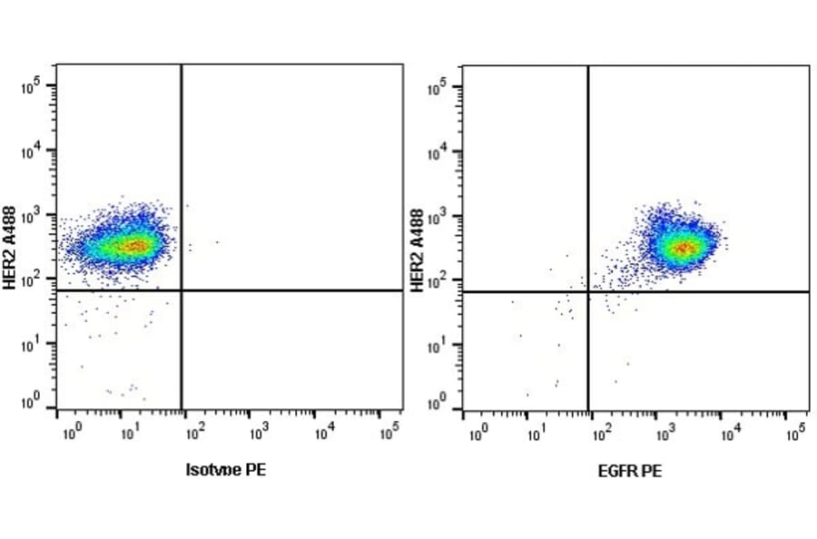 Flow Cytometry - Anti-EGFR Antibody [ICR10] (PE) (A280687) - Antibodies.com